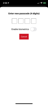ios passcode
