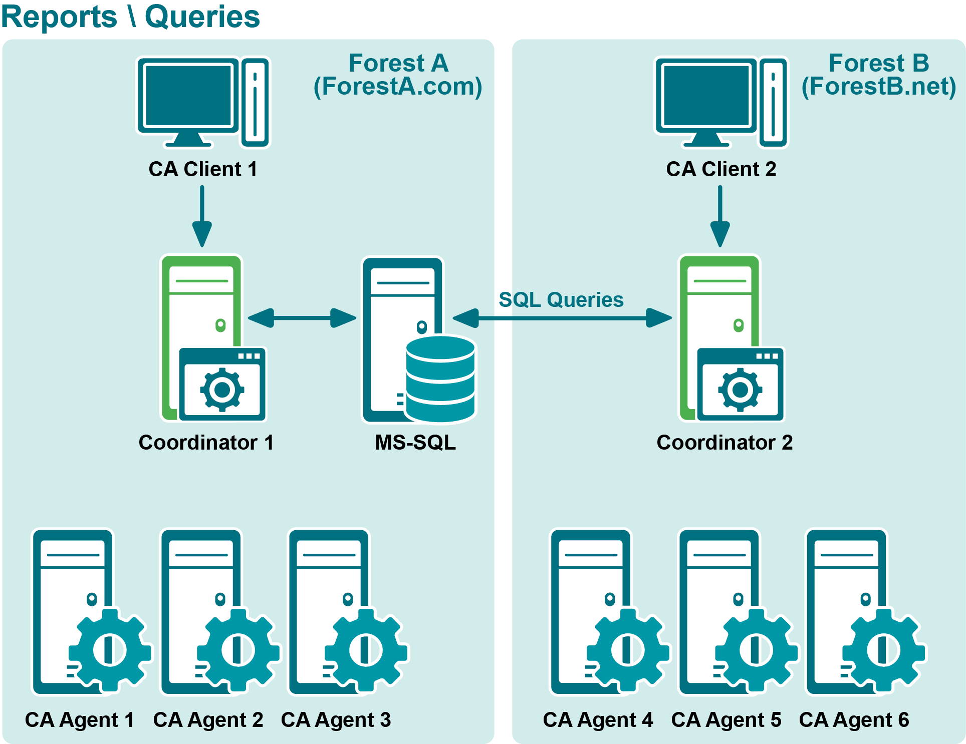 ReportQueries