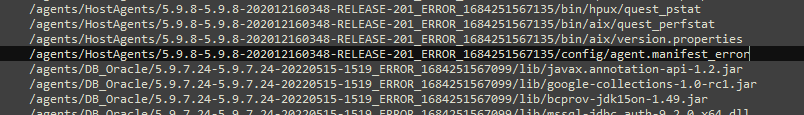 Errors in agent packages directories and files names