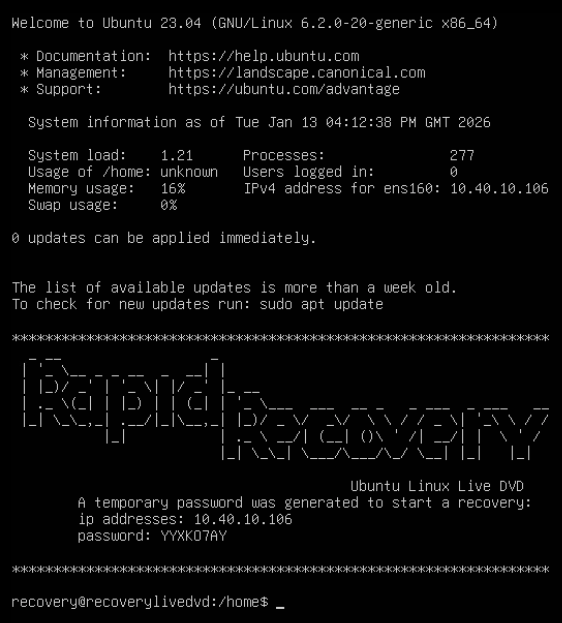 screen command output